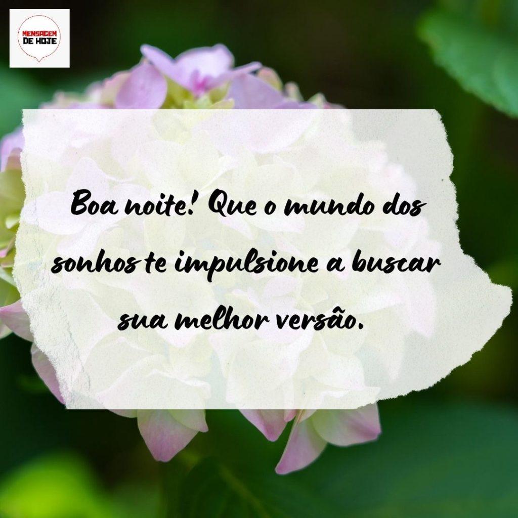 Boa Noite 14 de Agosto de 2022 11