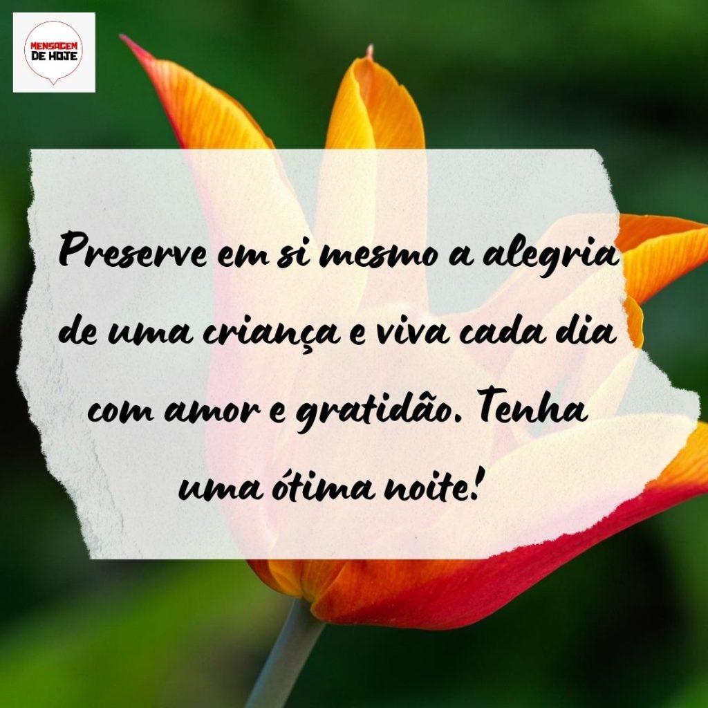 Boa Noite 14 de Agosto de 2022 15