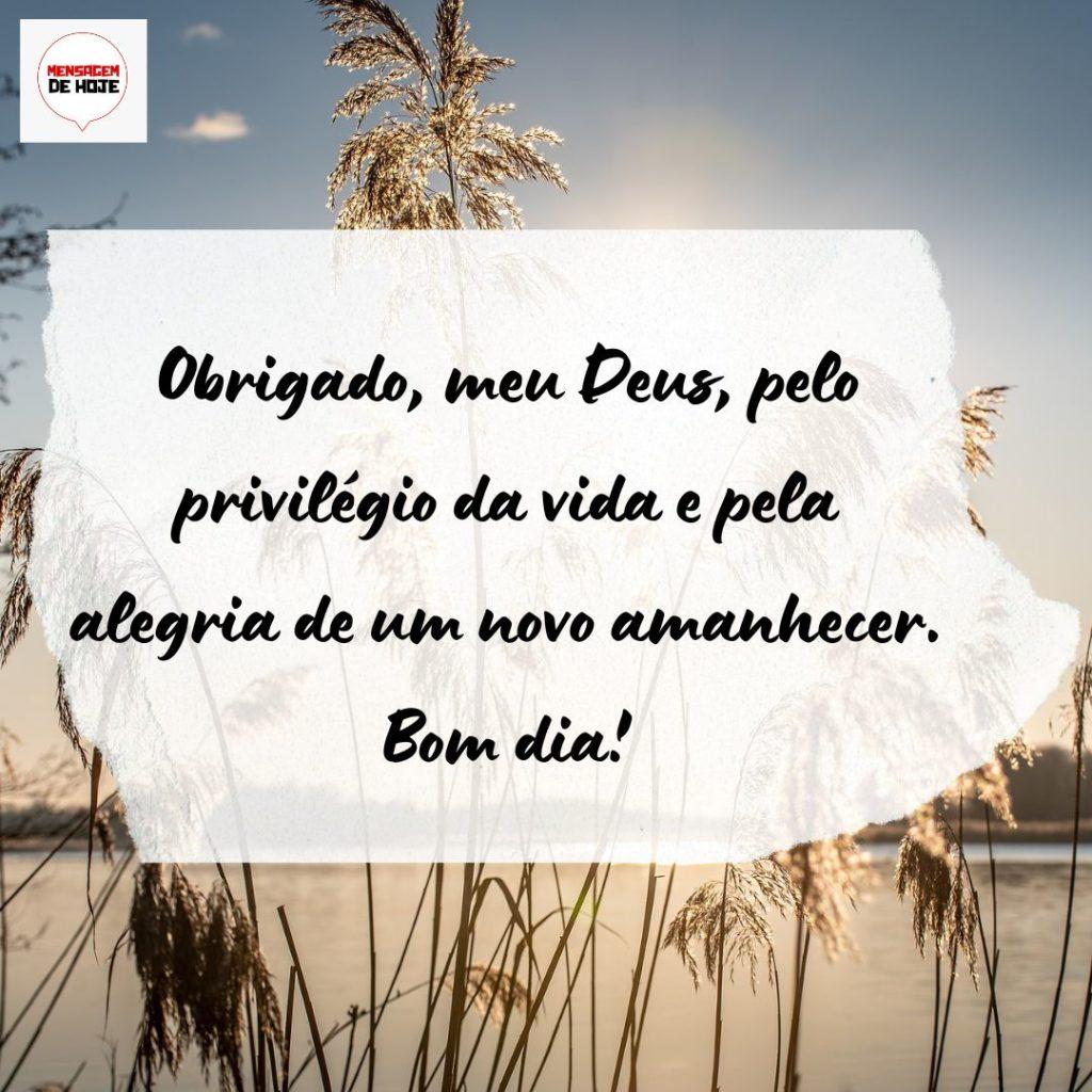 Bom Dia 30 de Agosto de 2022 17