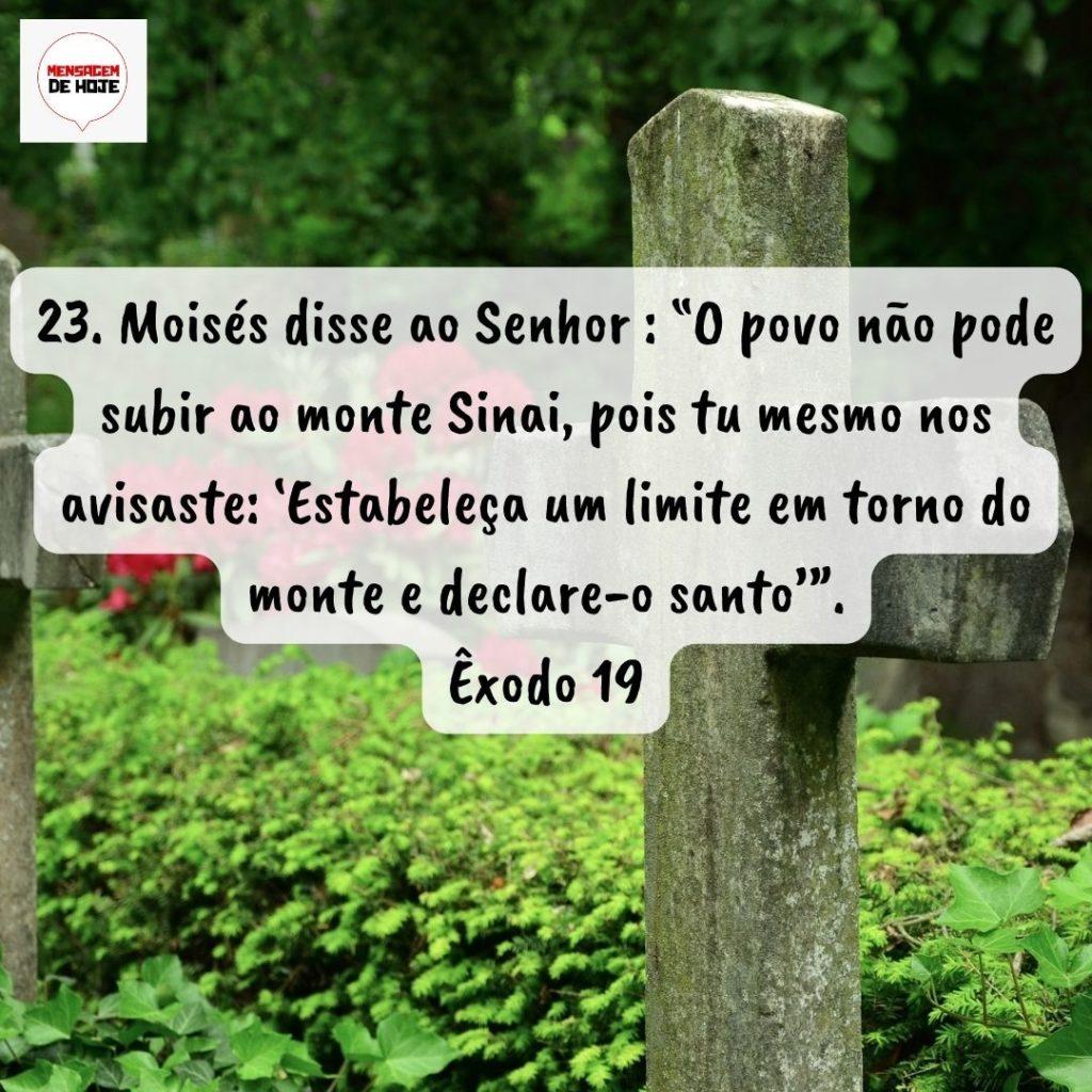 Salmos 12 de Agosto de 2022 5