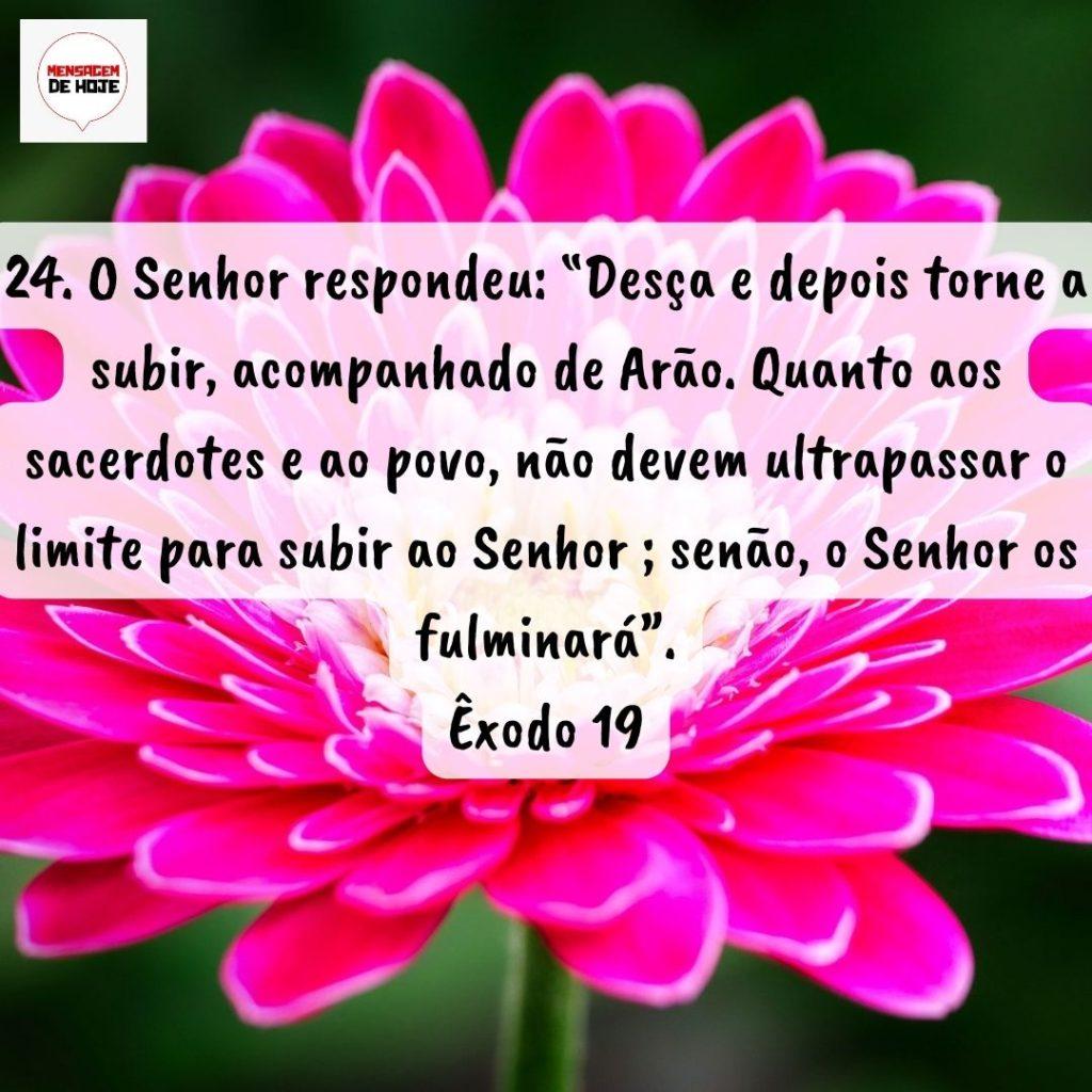 Salmos 12 de Agosto de 2022 7
