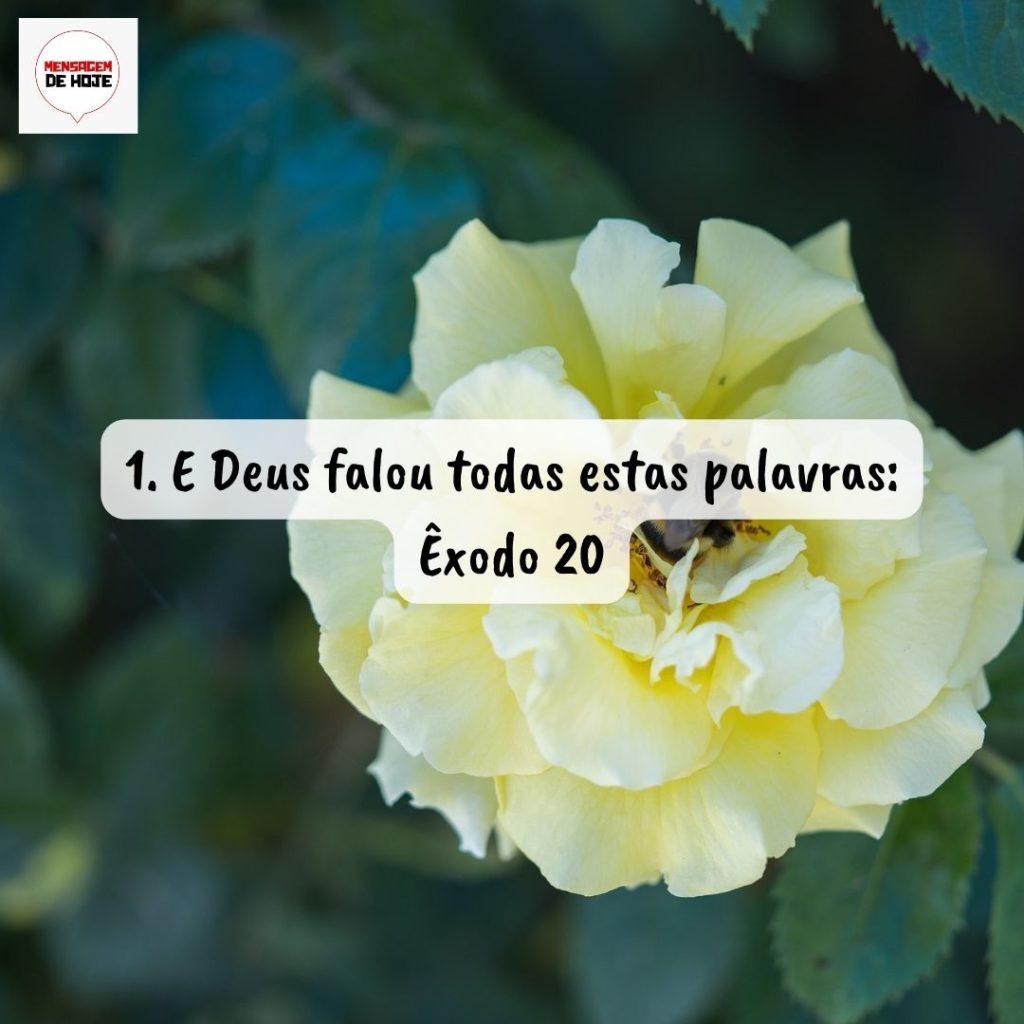 Salmos 12 de Agosto de 2022 11