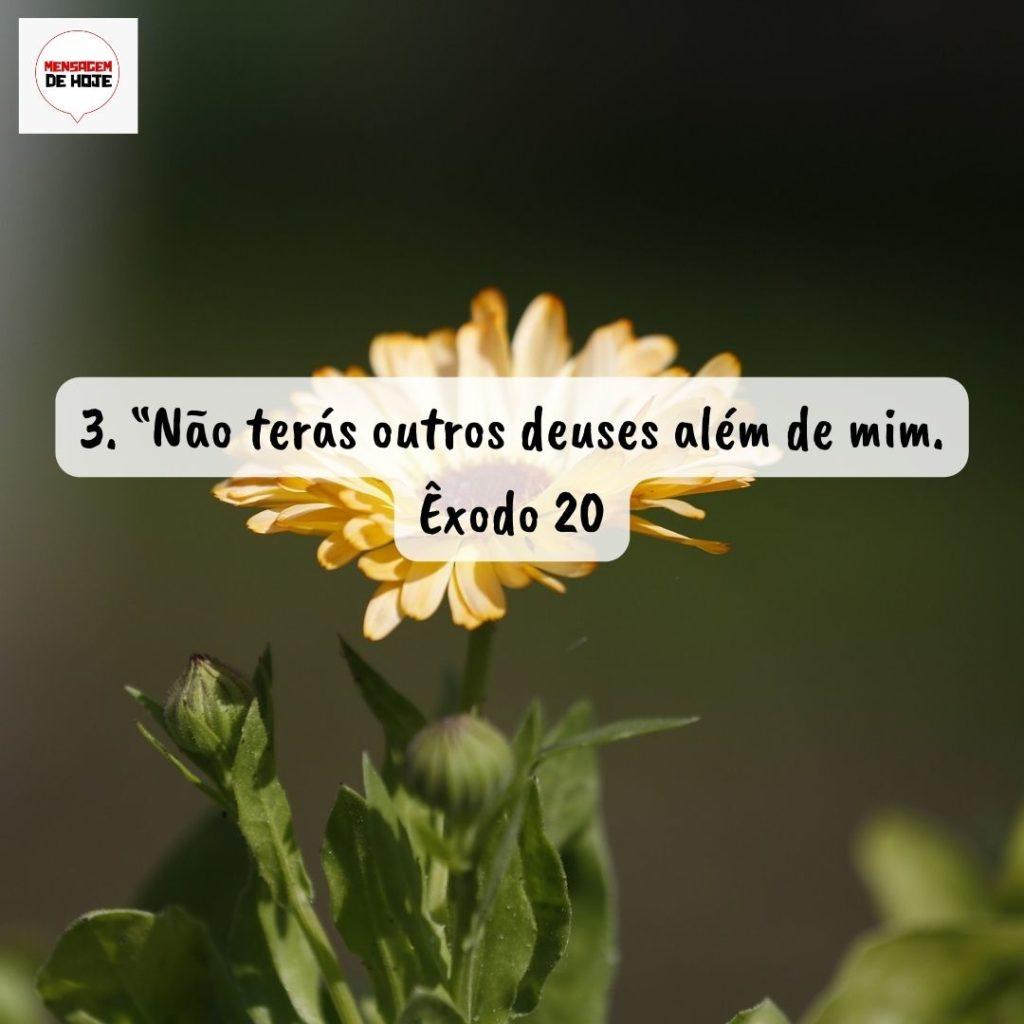 Salmos 12 de Agosto de 2022 15