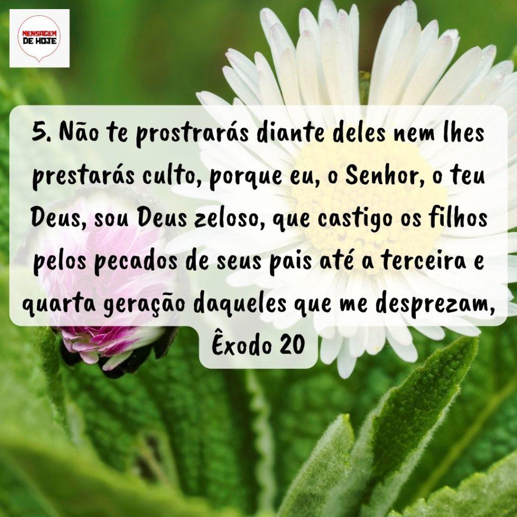 Salmos 12 de Agosto de 2022 19