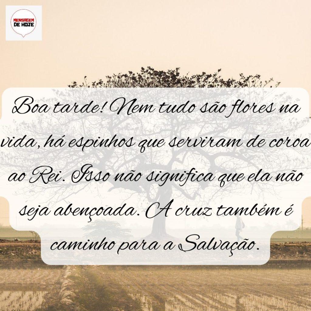 Boa Tarde 08 de Setembro de 2022 11