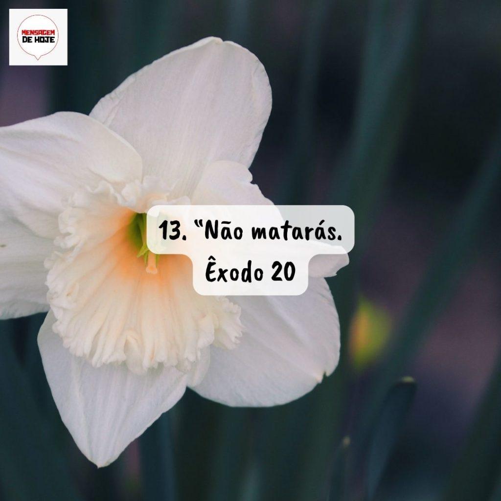 Salmos 13 de Agosto de 2022 15