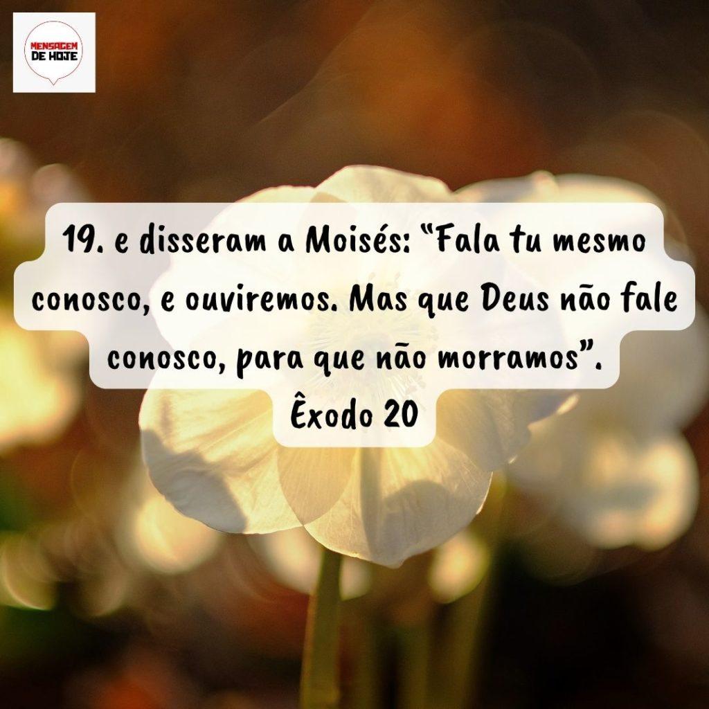 Salmos 14 de Agosto de 2022 7