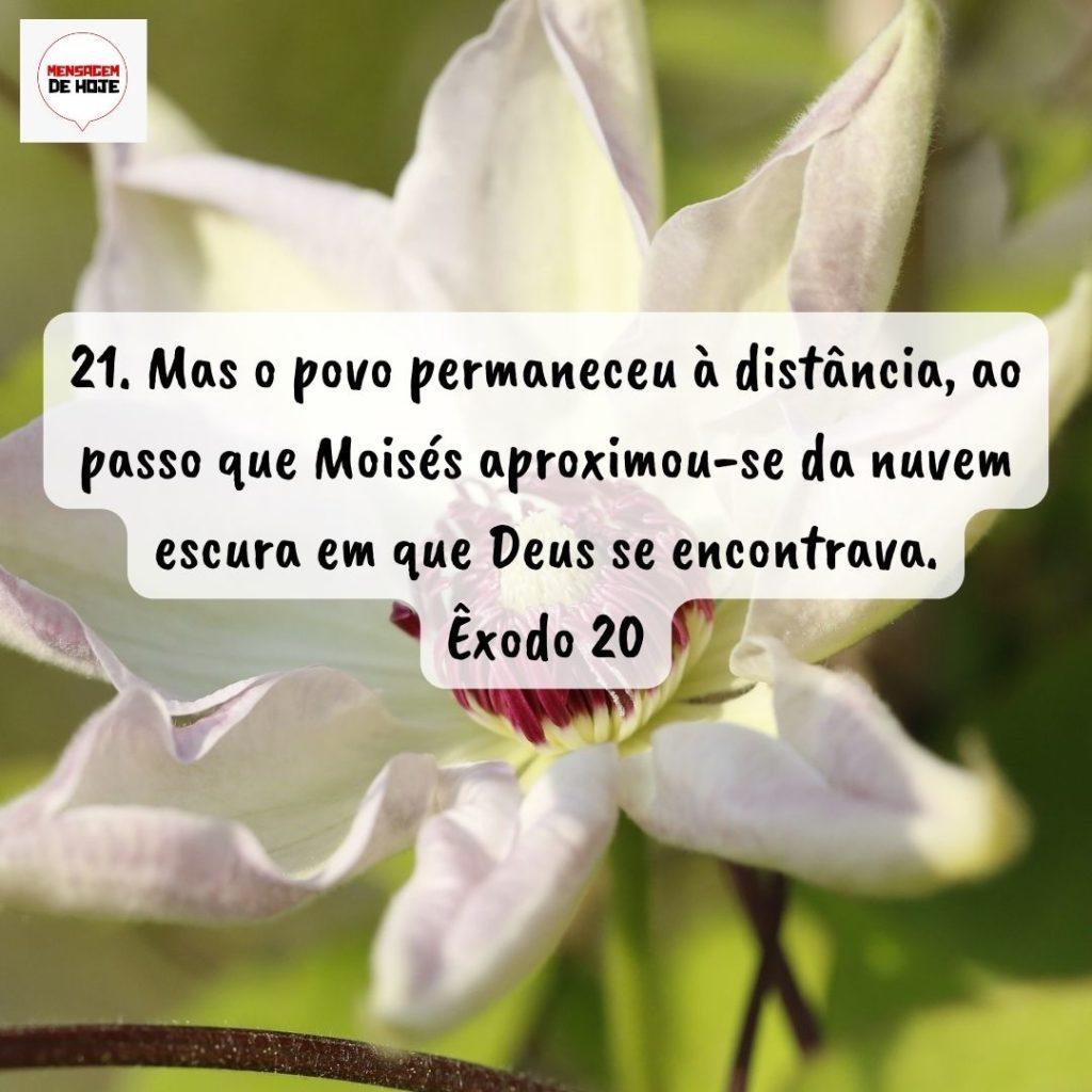 Salmos 14 de Agosto de 2022 11