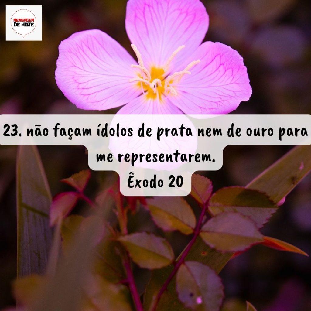 Salmos 14 de Agosto de 2022 15