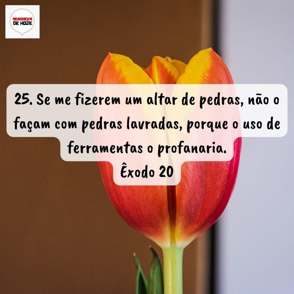 Salmos 14 de Agosto de 2022 19