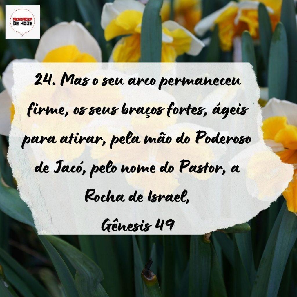 Salmos 08 de Setembro de 2022 25