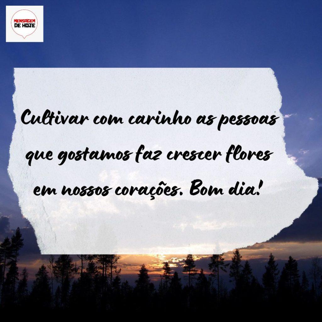 Bom Dia 29 de Agosto de 2022 13