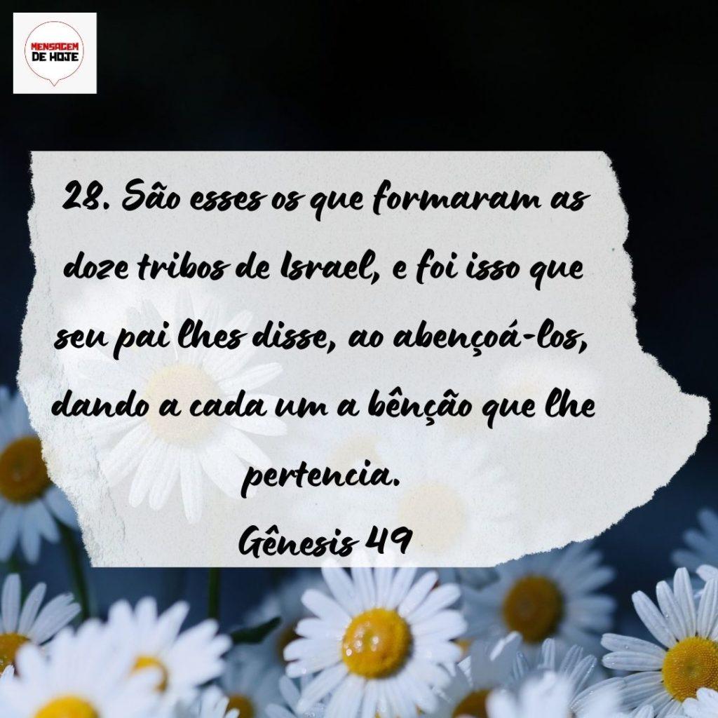 Salmos 08 de Setembro de 2022 33