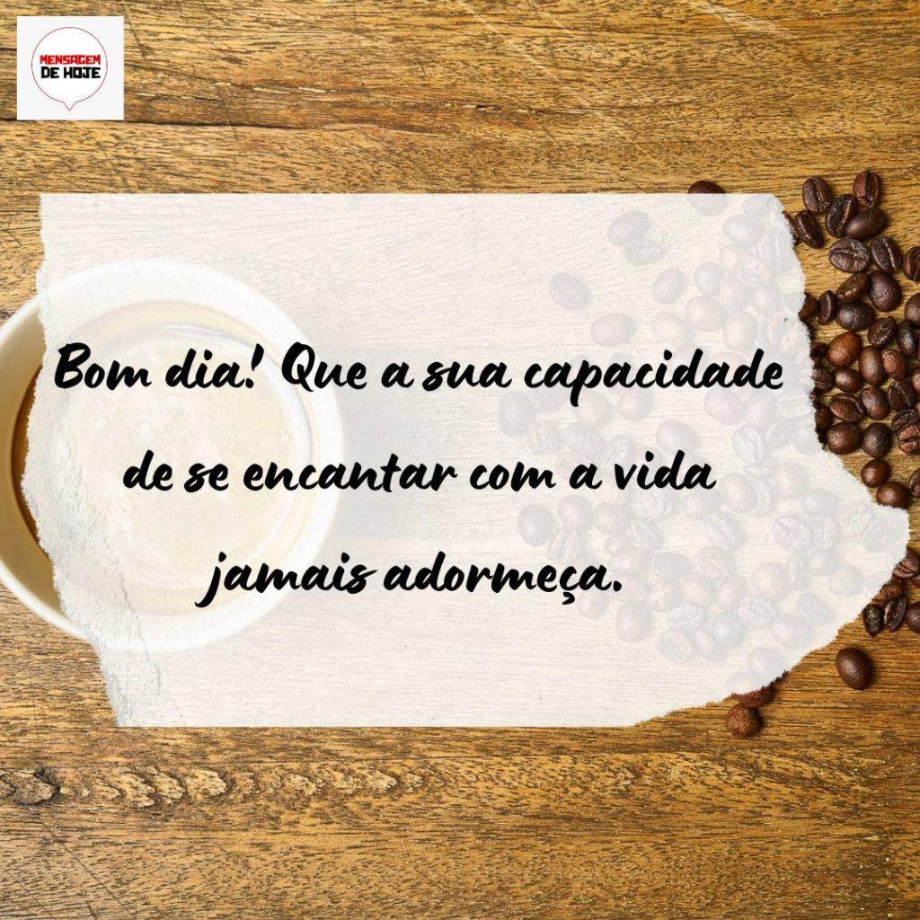 Bom Dia 29 de Agosto de 2022 15
