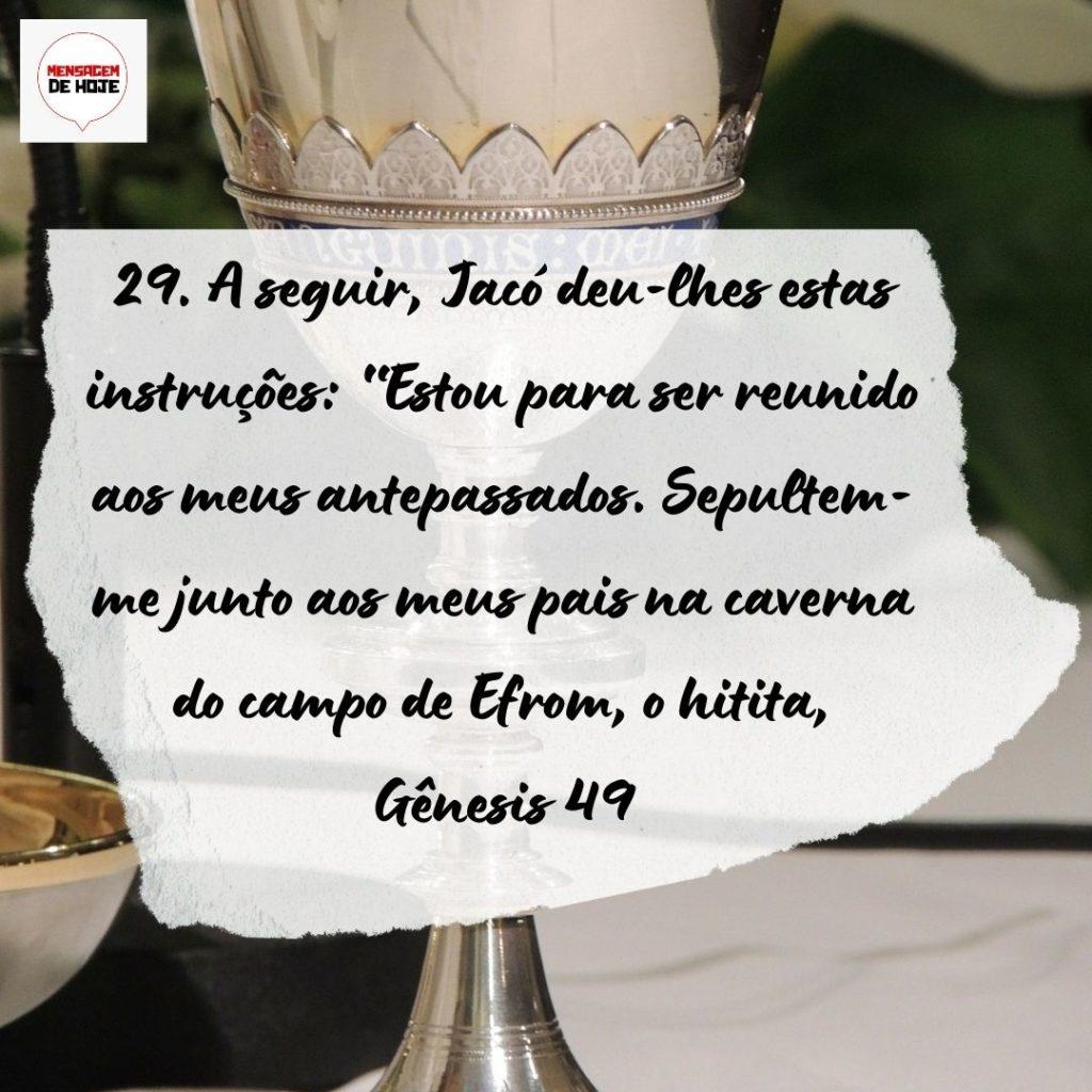 Salmos 08 de Setembro de 2022 35