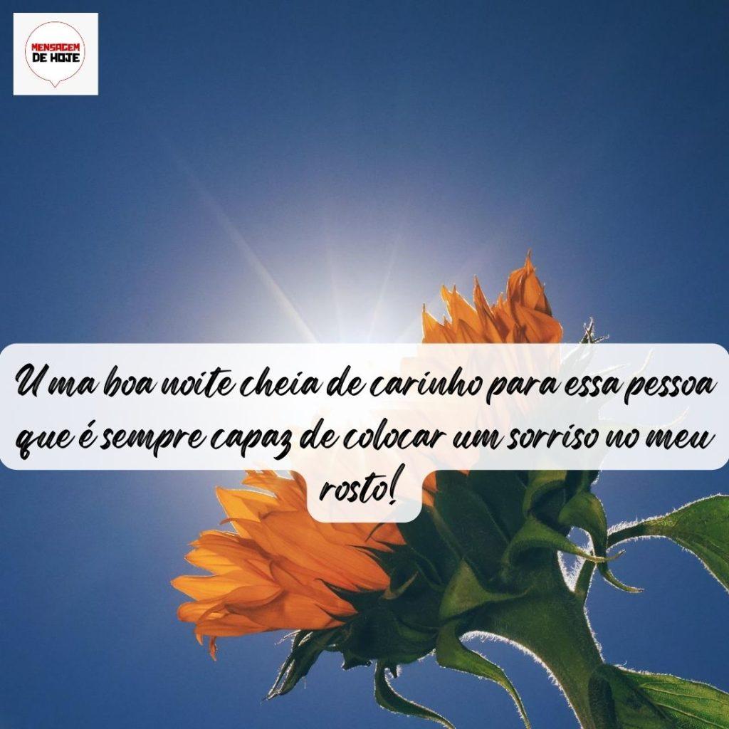 Boa Noite 12 de Agosto de 2022 5