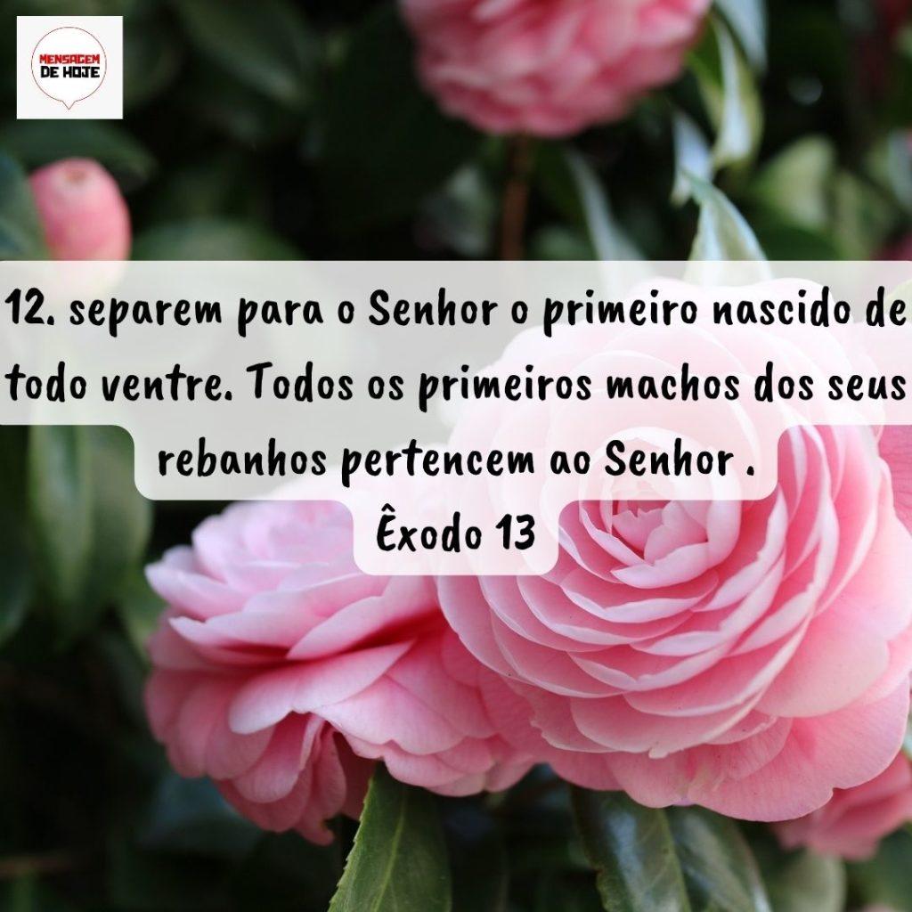 Salmos 23 de Agosto de 2022 11