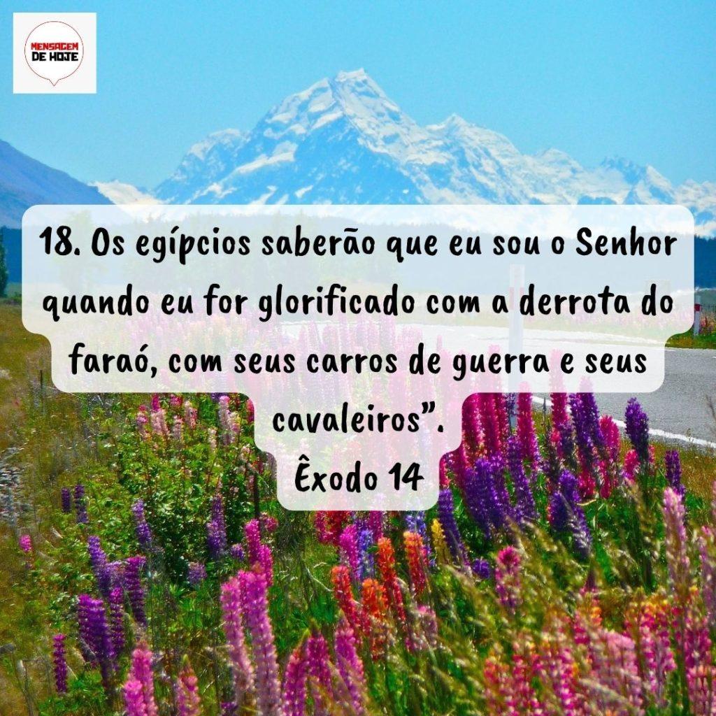 Salmos 26 de Agosto de 2022 7