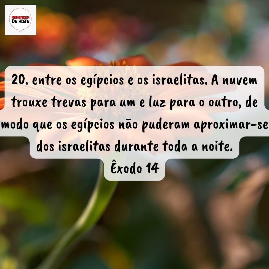 Salmos 26 de Agosto de 2022 11