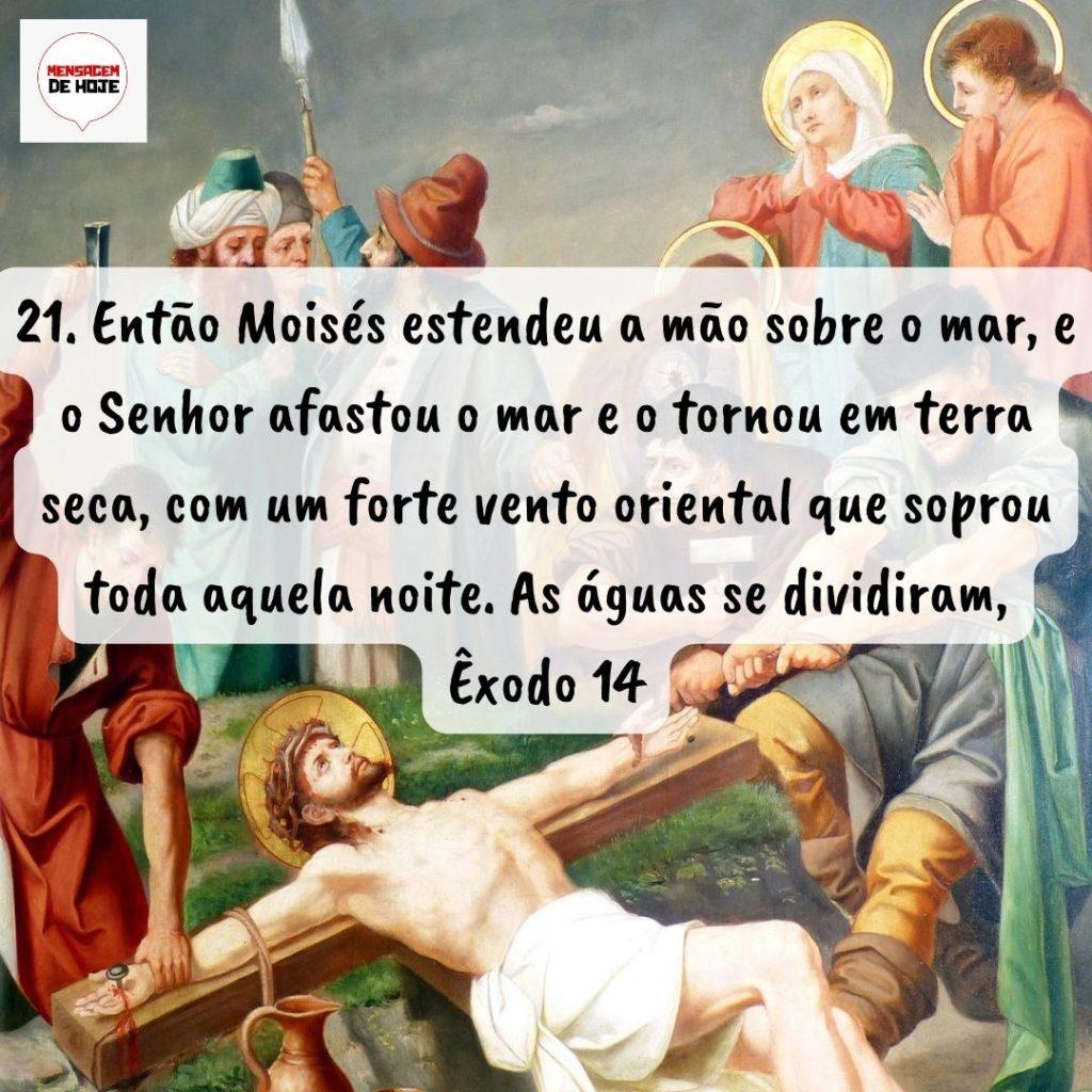 Salmos 26 de Agosto de 2022 13