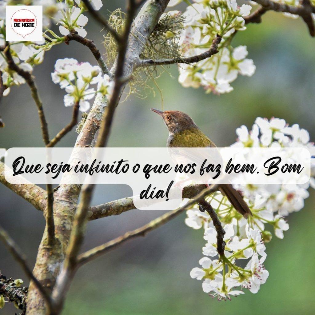 Bom Dia 16 de Agosto de 2022 9