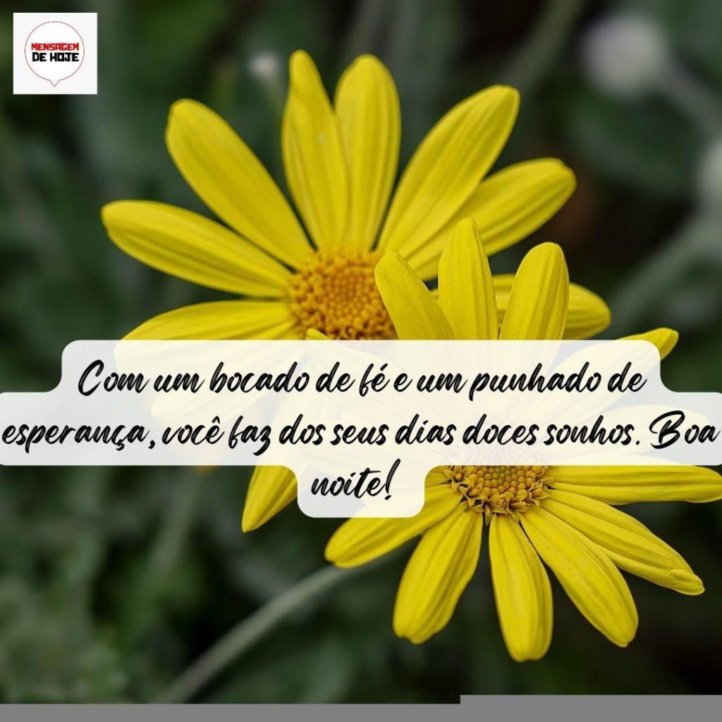 Boa Noite 30 de Agosto de 2022 15