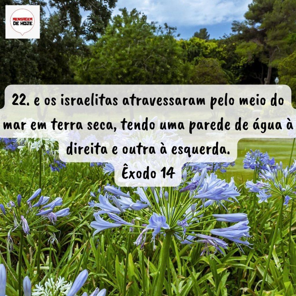 Salmos 26 de Agosto de 2022 15