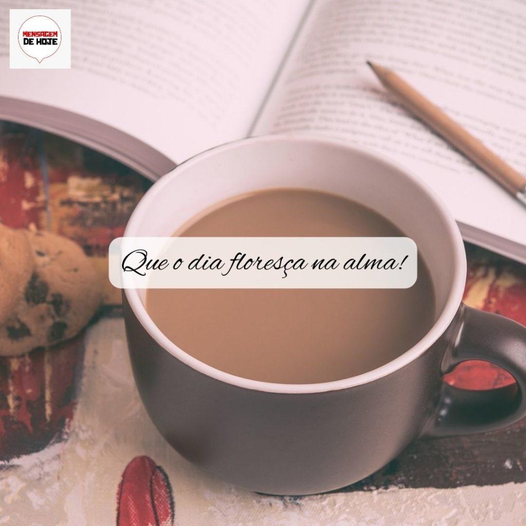 Bom Dia 09 de Setembro de 2022 15