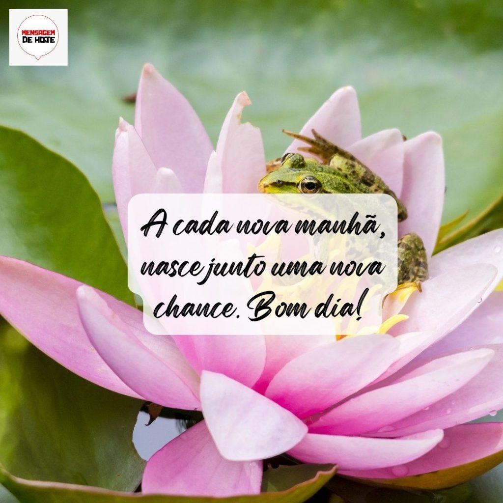 Bom Dia 16 de Agosto de 2022 13