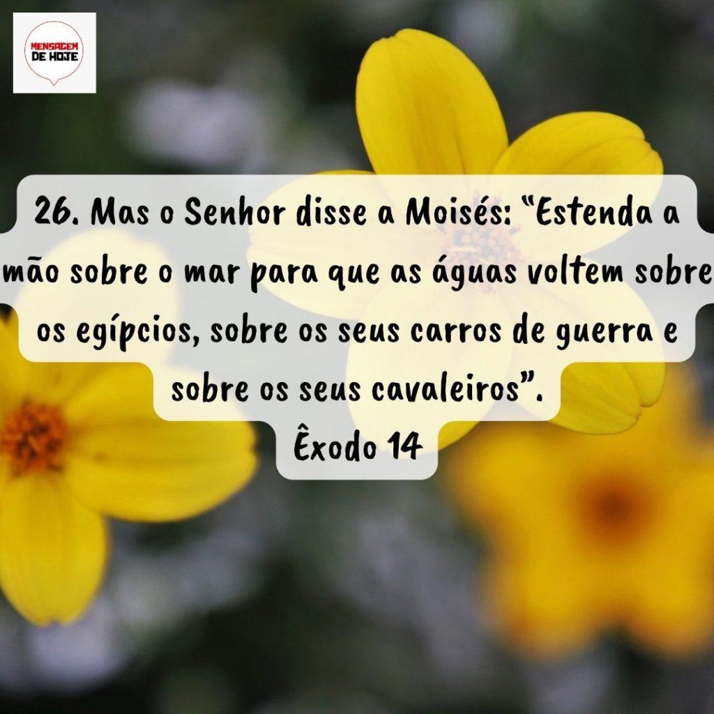 Salmos 26 de Agosto de 2022 3