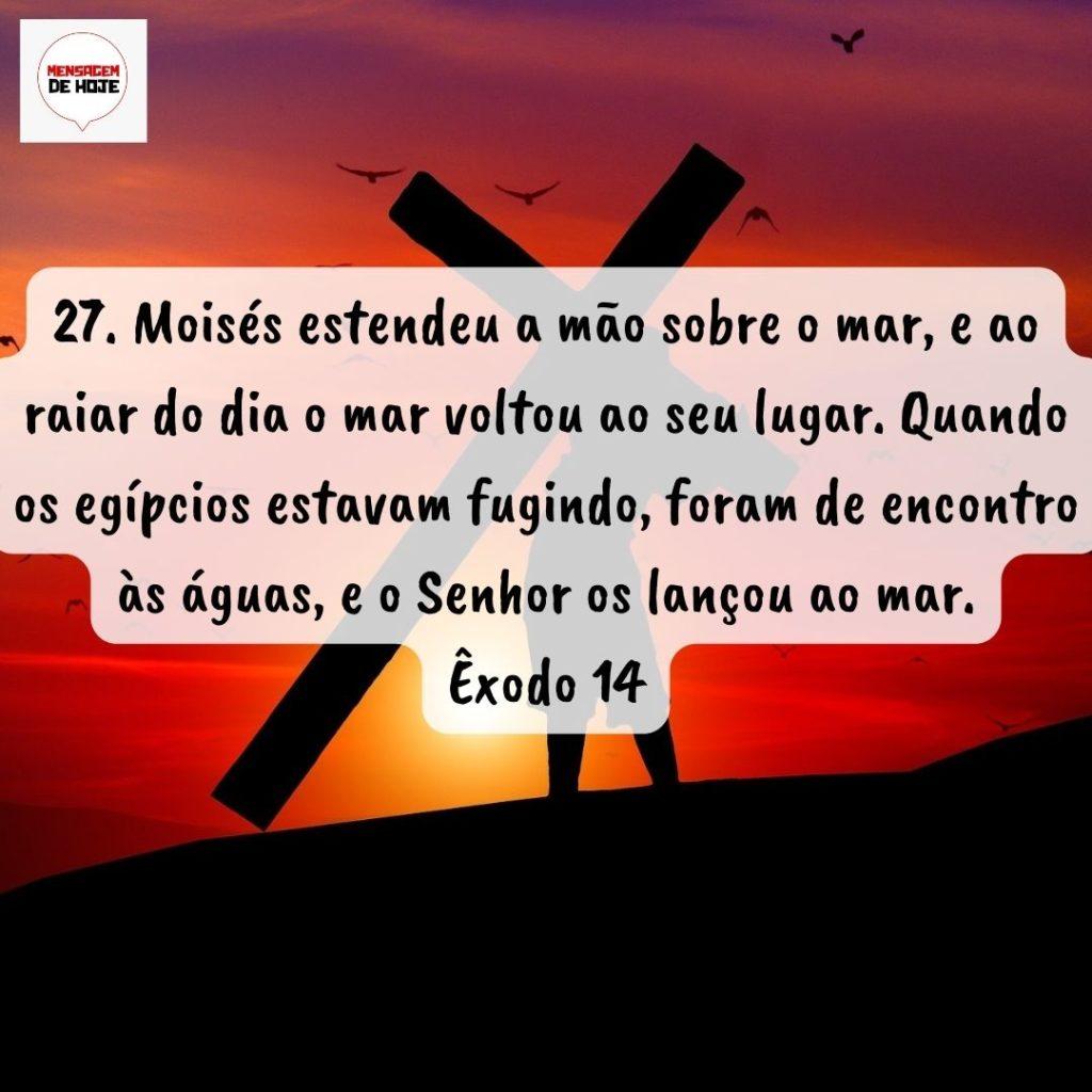 Salmos 26 de Agosto de 2022 5