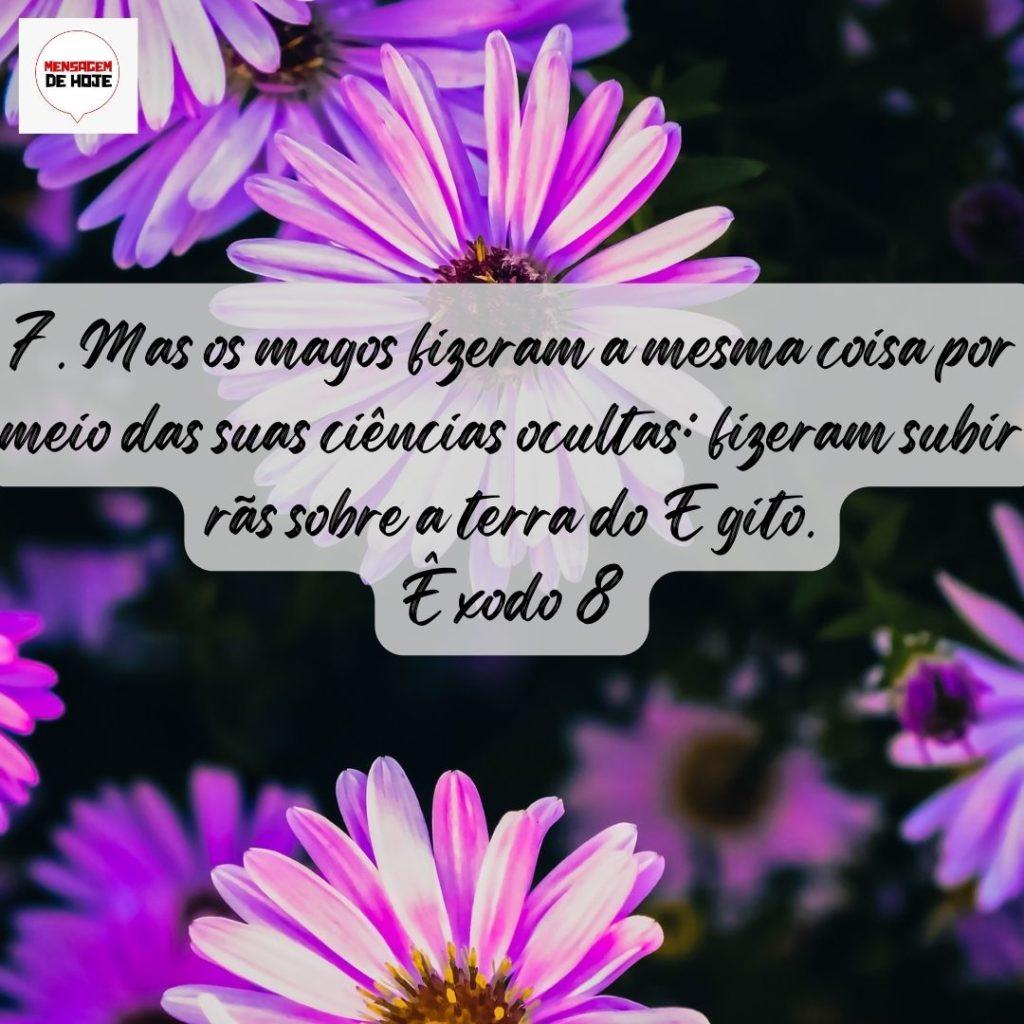 Salmos 15 de Agosto de 2022 1