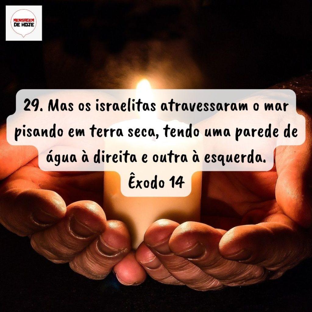 Salmos 27 de Agosto de 2022 7