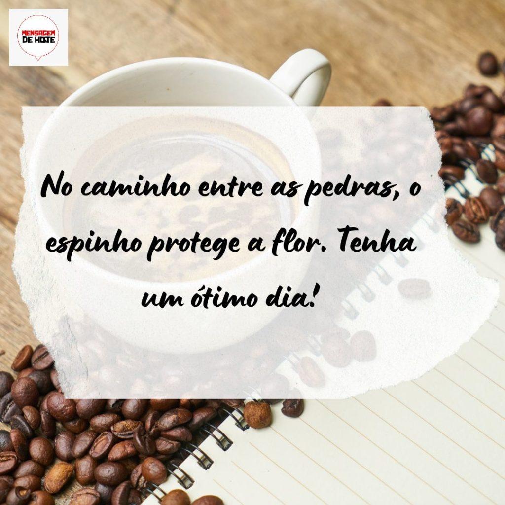 Bom Dia 27 de Agosto de 2022 7