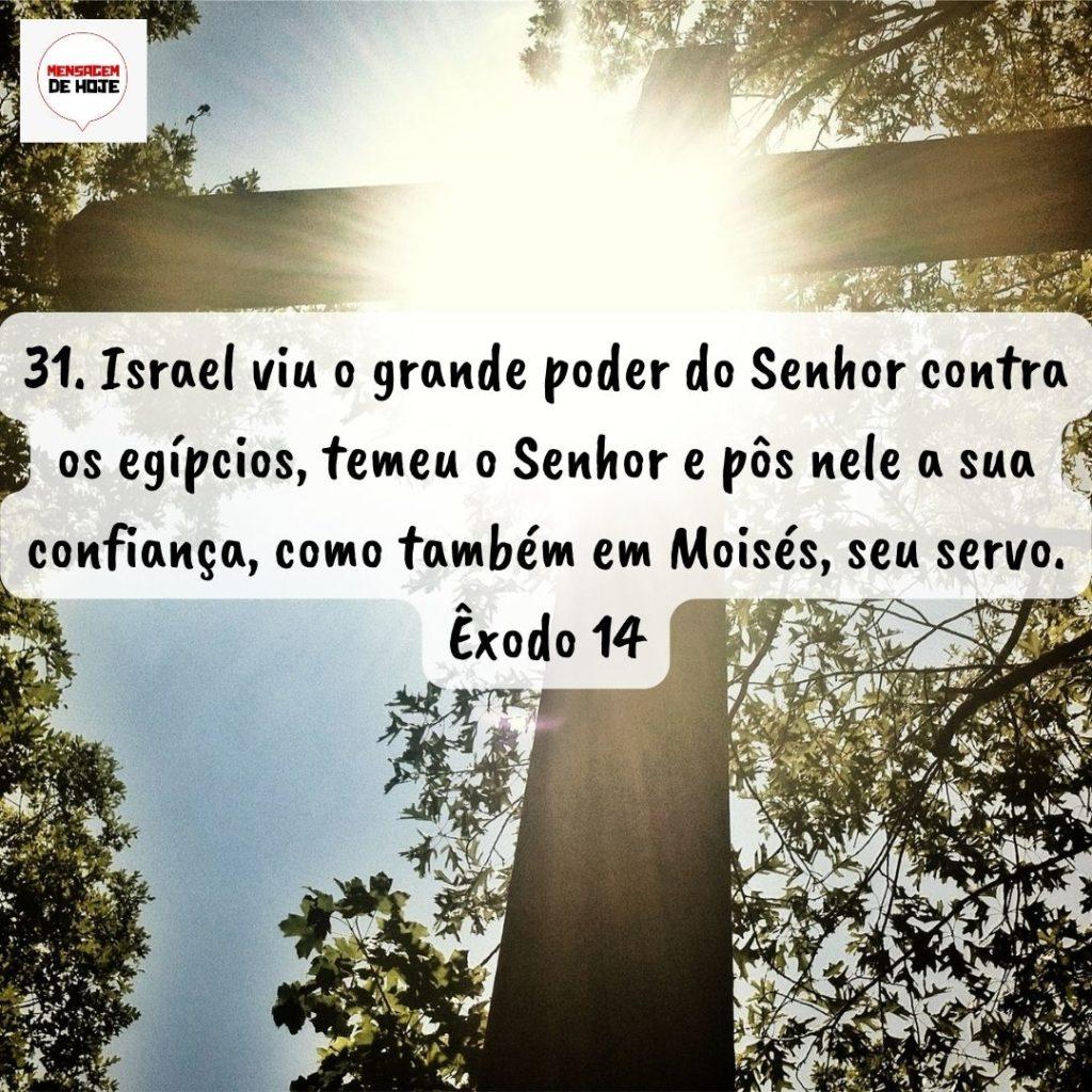 Salmos 27 de Agosto de 2022 11
