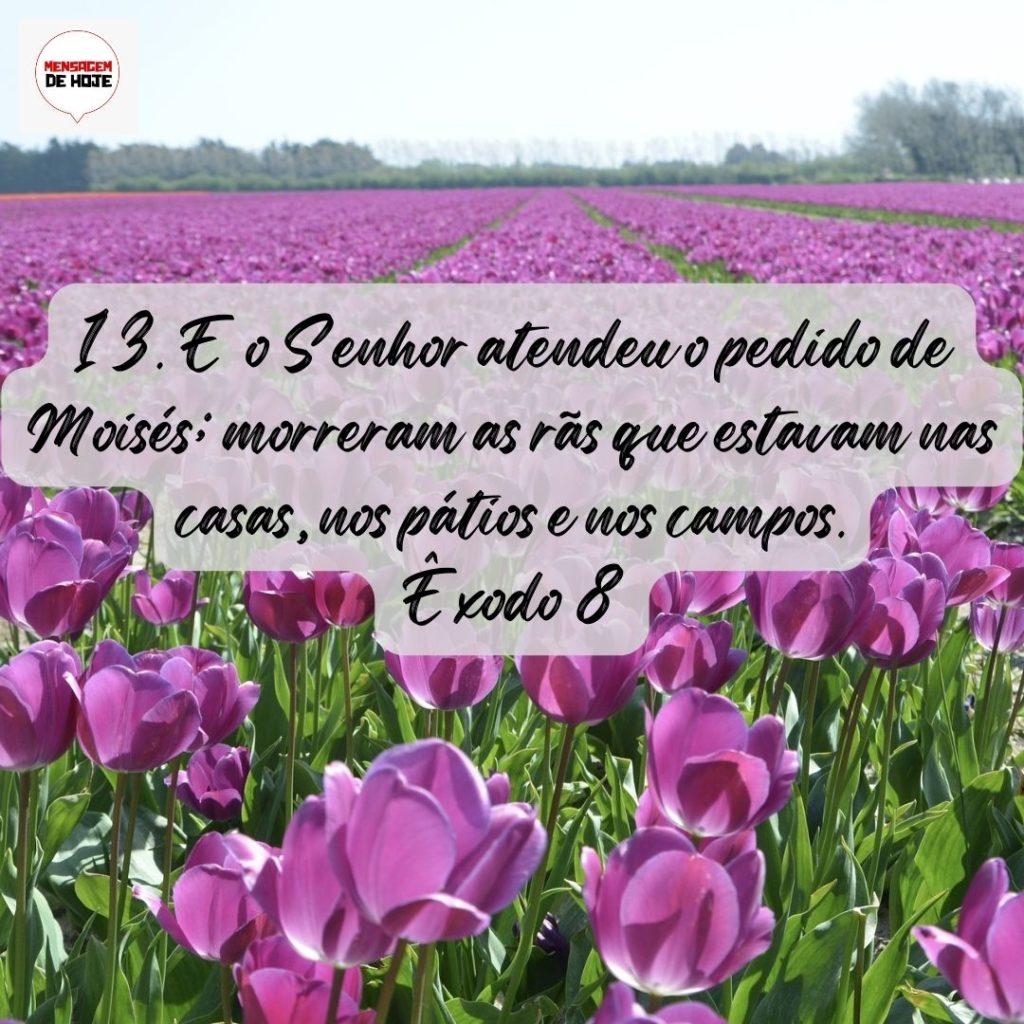 Salmos 15 de Agosto de 2022 13