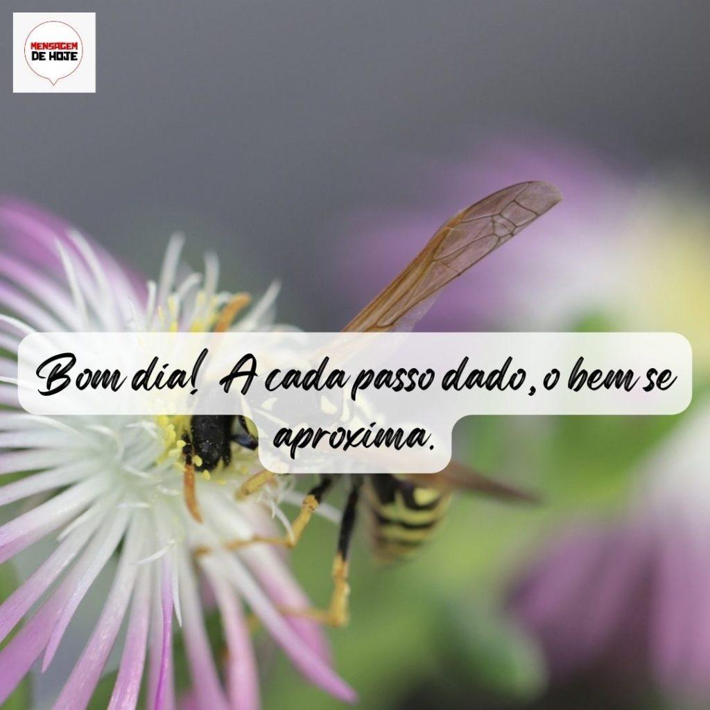 Bom Dia 15 de Agosto de 2022 13