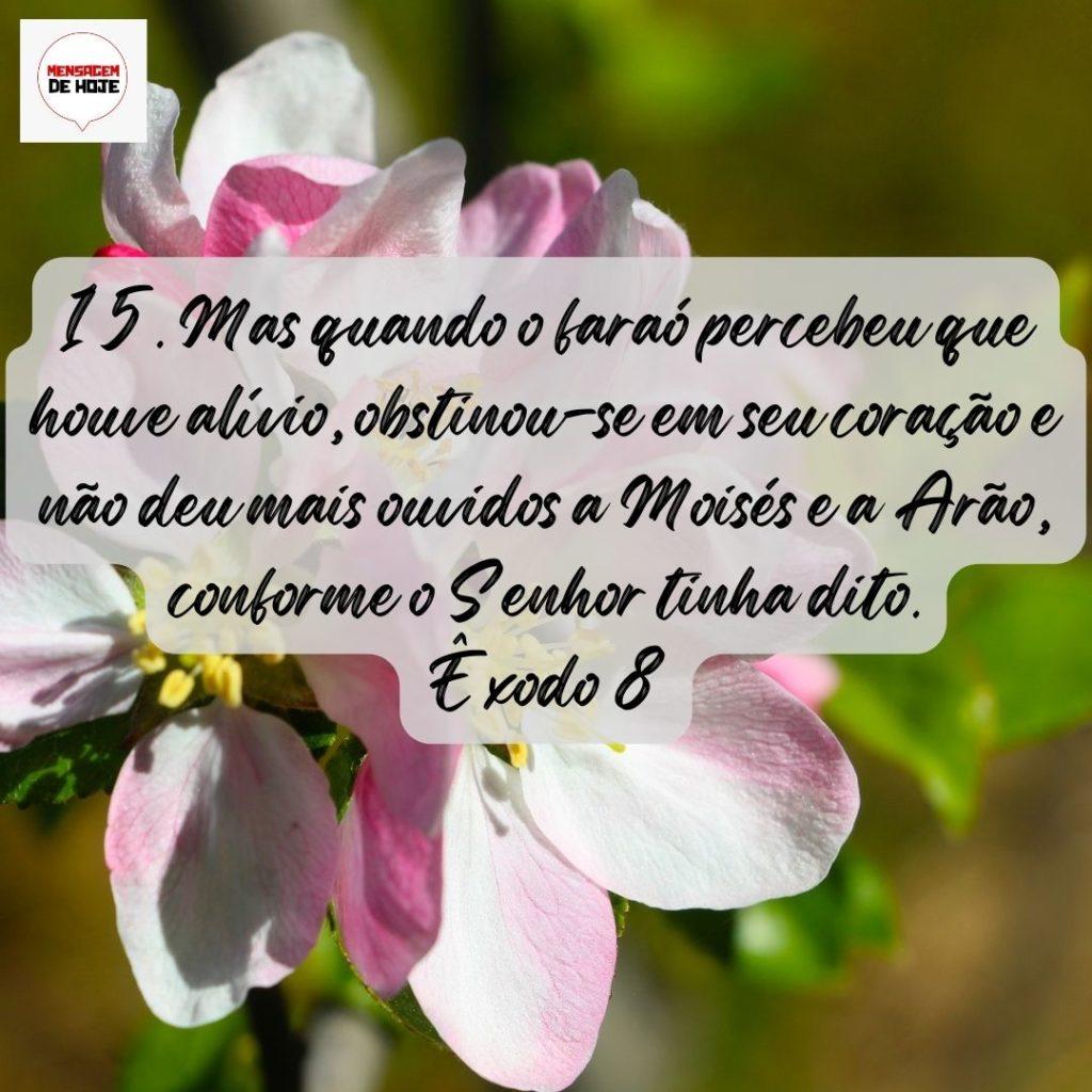 Salmos 15 de Agosto de 2022 17