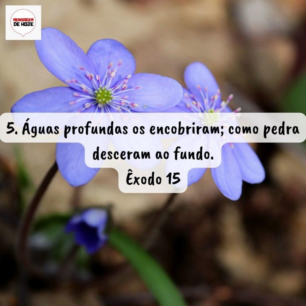 Salmos 27 de Agosto de 2022 1