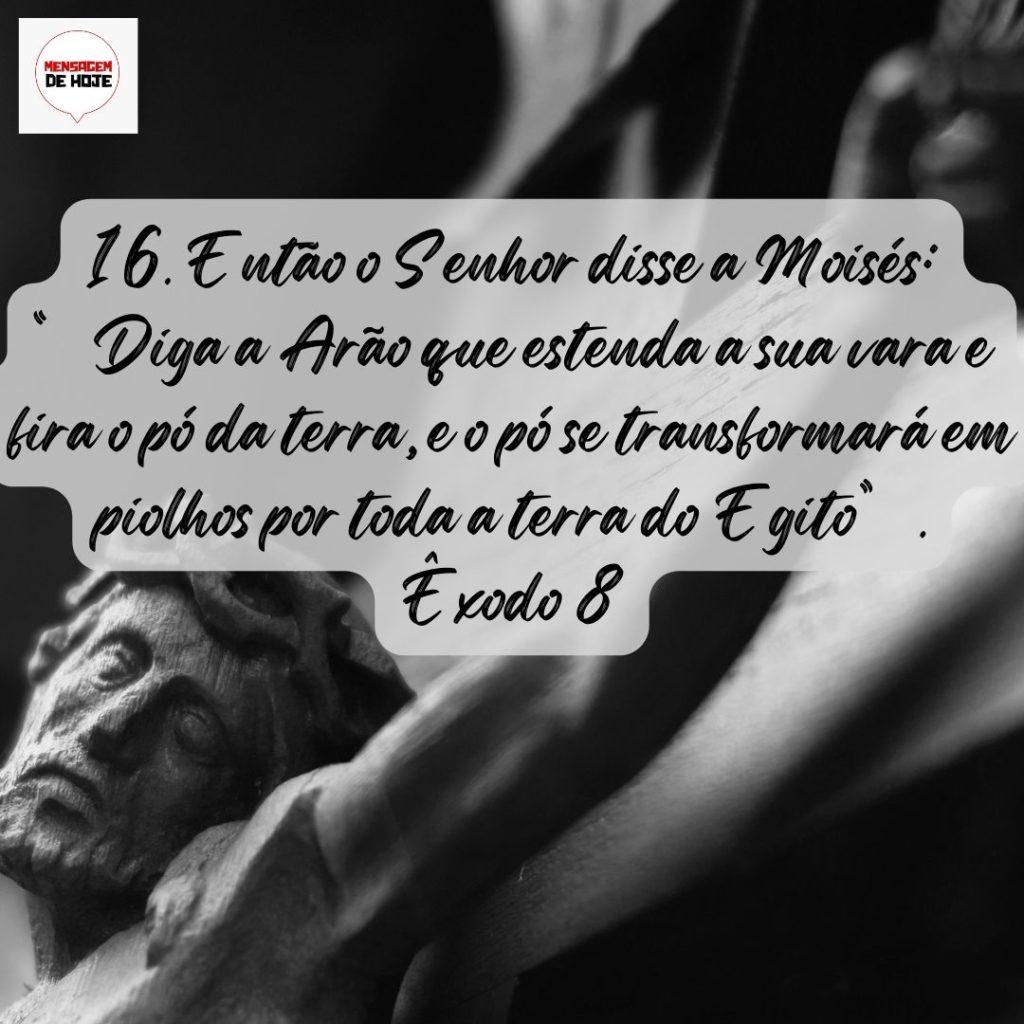 Salmos 15 de Agosto de 2022 19