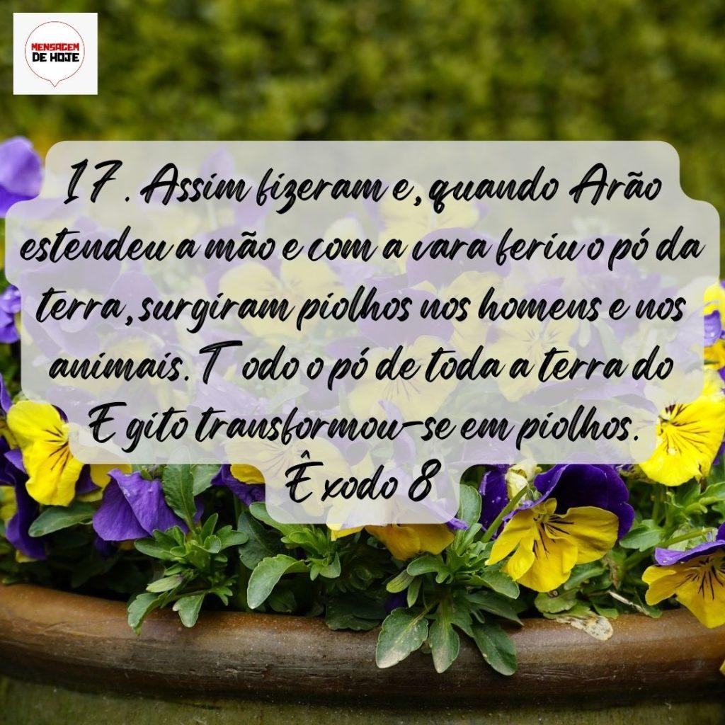 Salmos 16 de Agosto de 2022 1