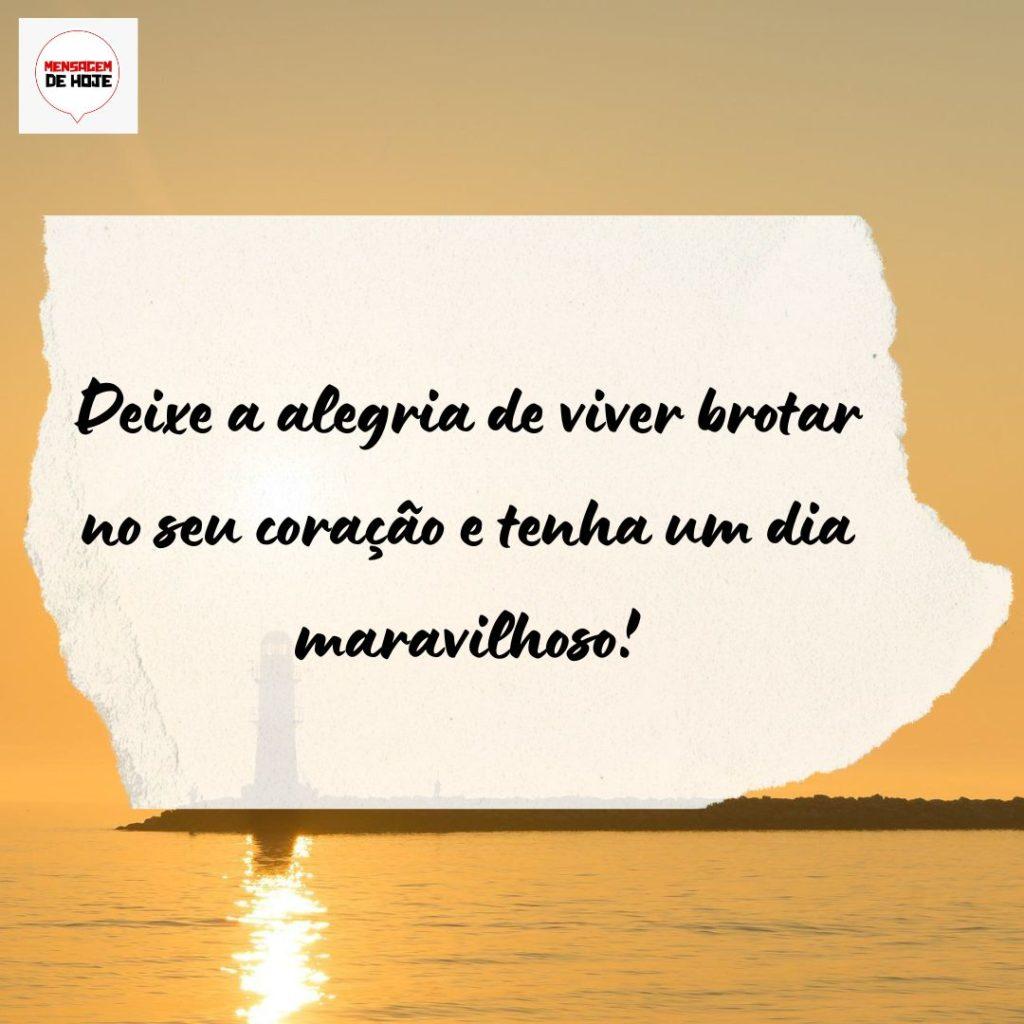 Bom Dia 26 de Agosto de 2022 5