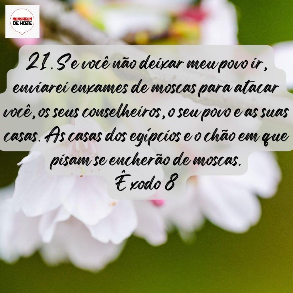 Salmos 16 de Agosto de 2022 9