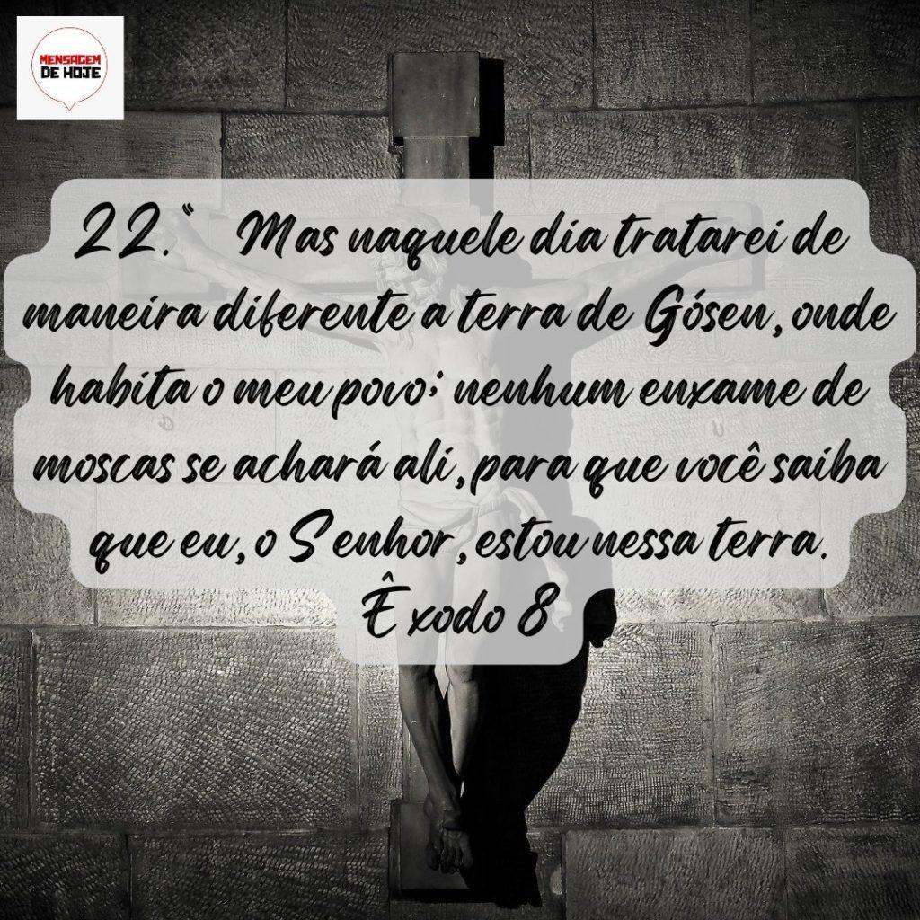 Salmos 16 de Agosto de 2022 11