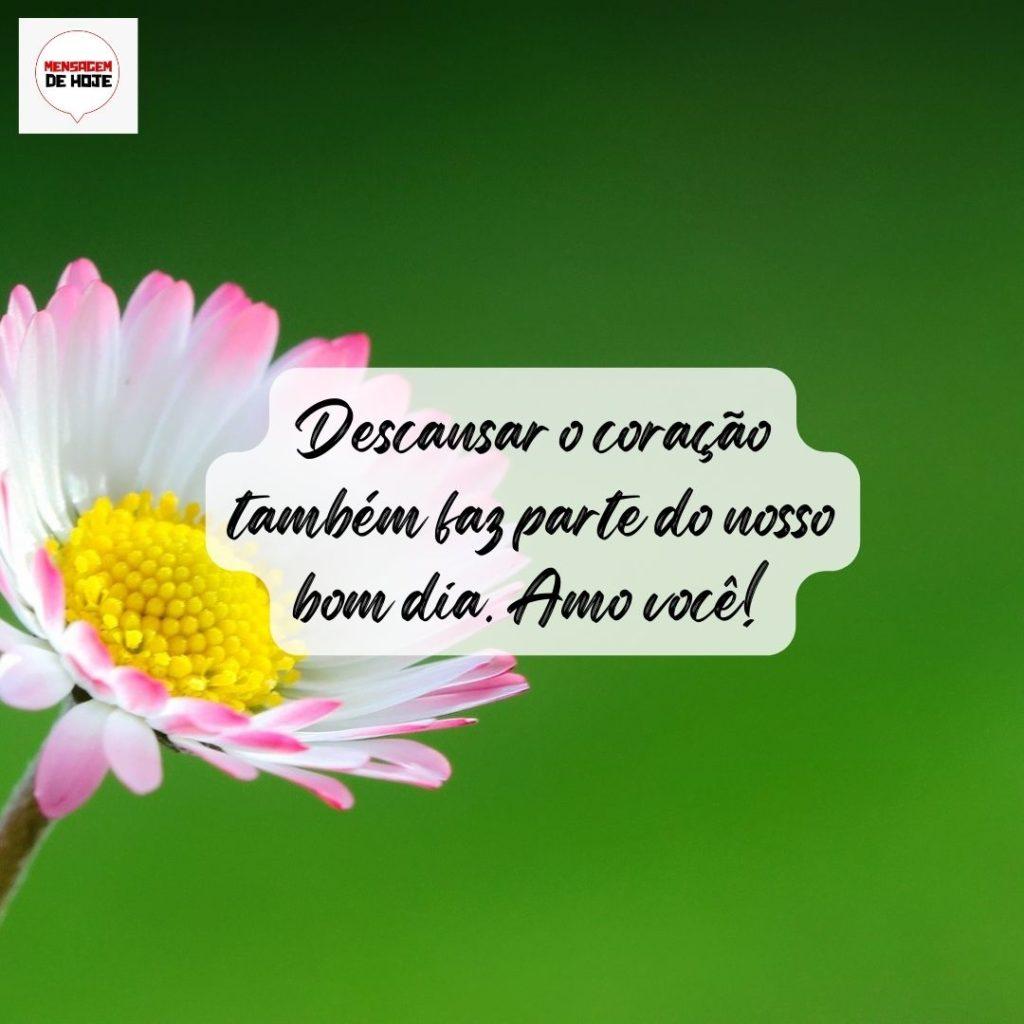 Bom Dia 14 de Agosto de 2022 13
