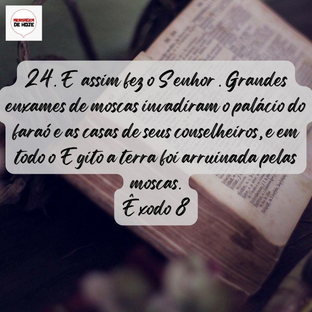 Salmos 16 de Agosto de 2022 15