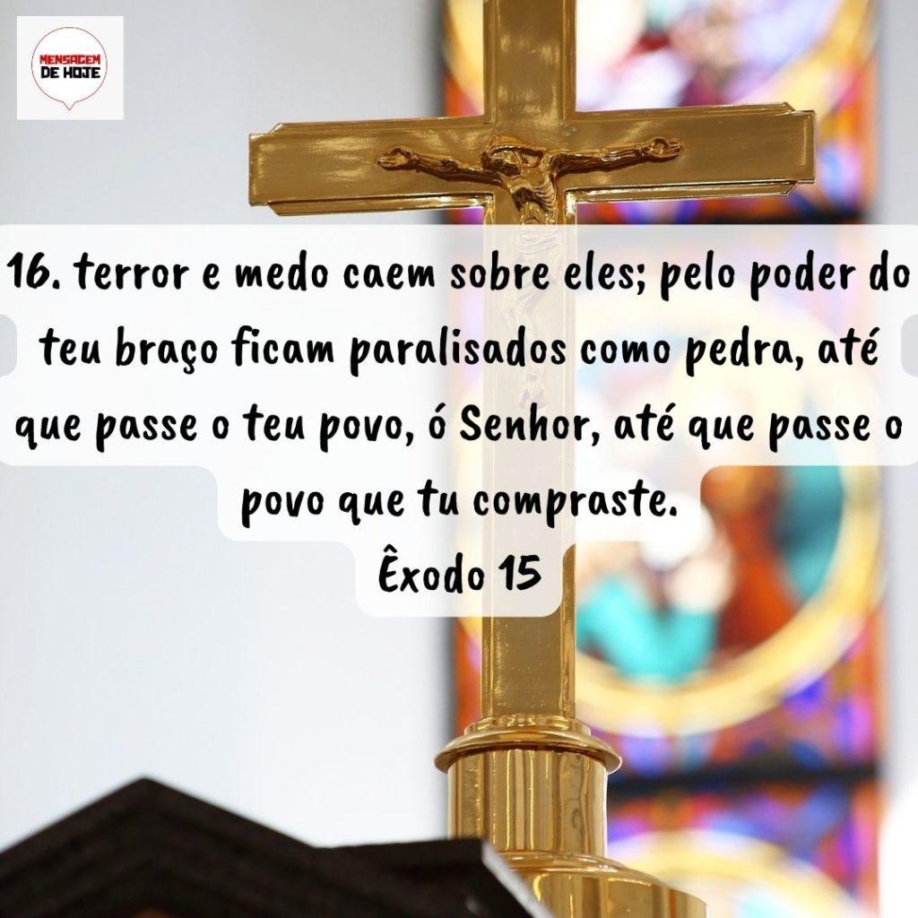 Salmos 28 de Agosto de 2022 3