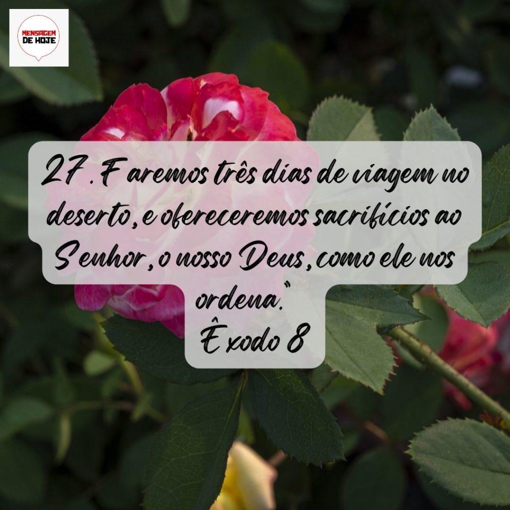 Salmos 17 de Agosto de 2022 1