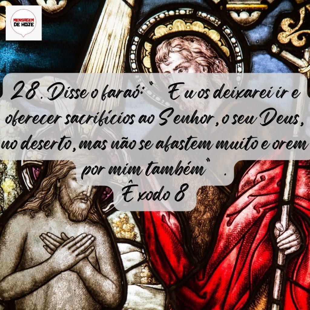 Salmos 17 de Agosto de 2022 3