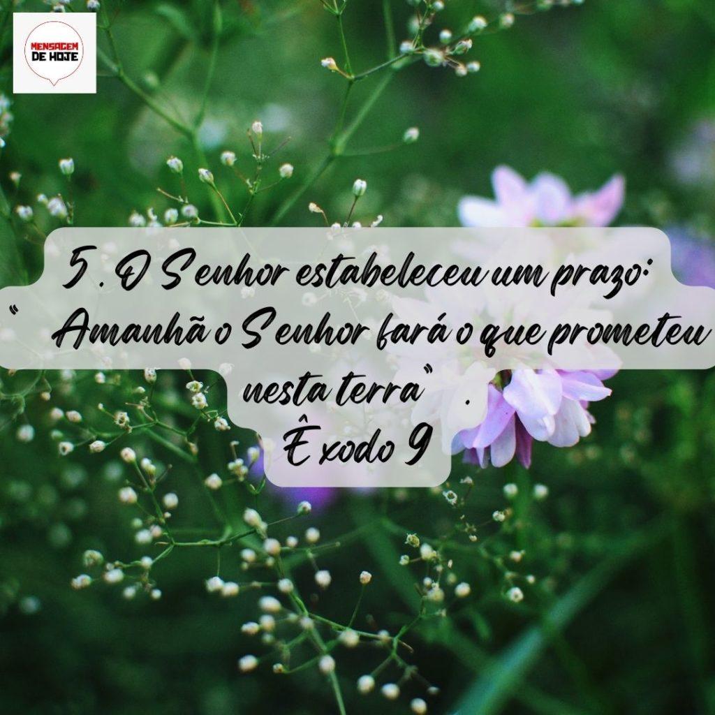 Salmos 18 de Agosto de 2022 1